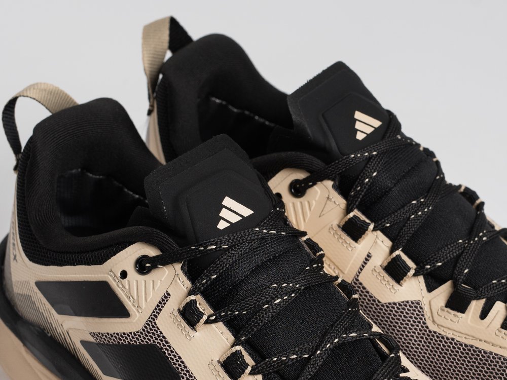 Кроссовки Adidas Terrex Skychaser Tech Low Gtx