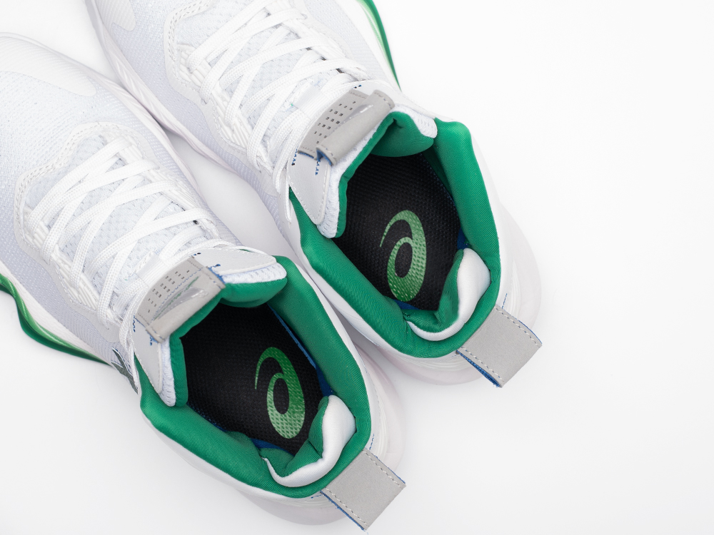 Кроссовки Asics Nova Surge 2