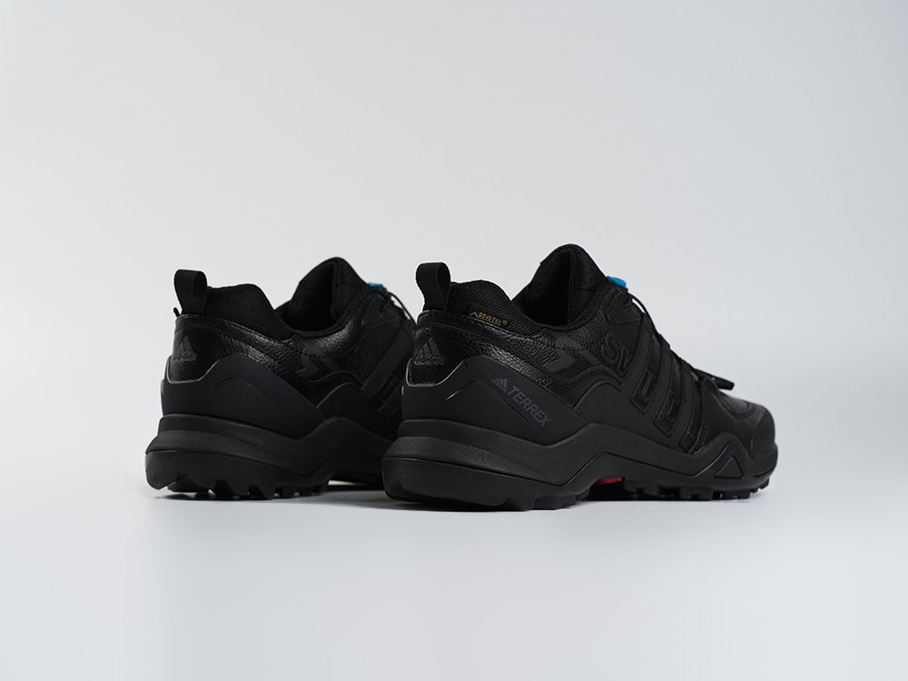 Кроссовки Adidas Terrex Swift R2 GTX