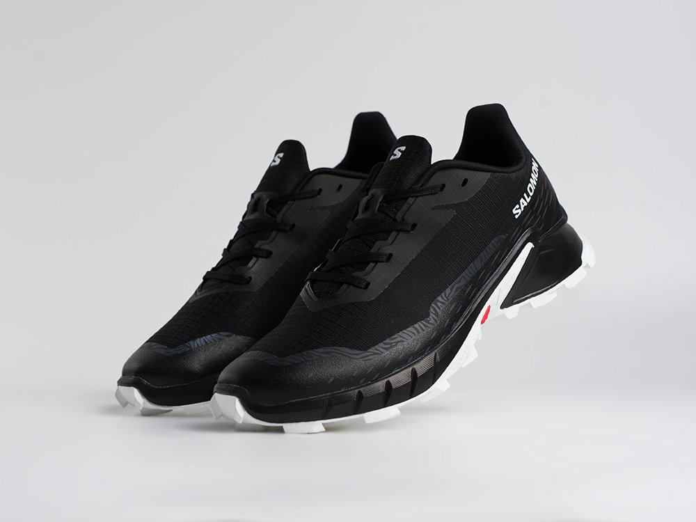 Кроссовки Salomon Alphacross 5 GTX