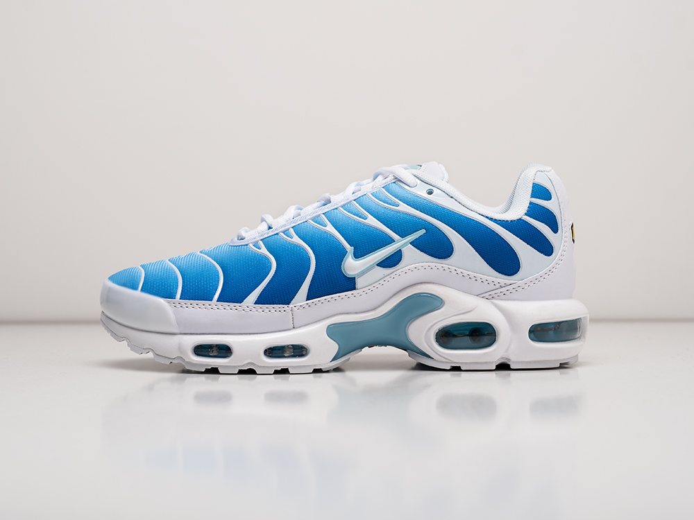 Кроссовки Nike Air Max Plus TN