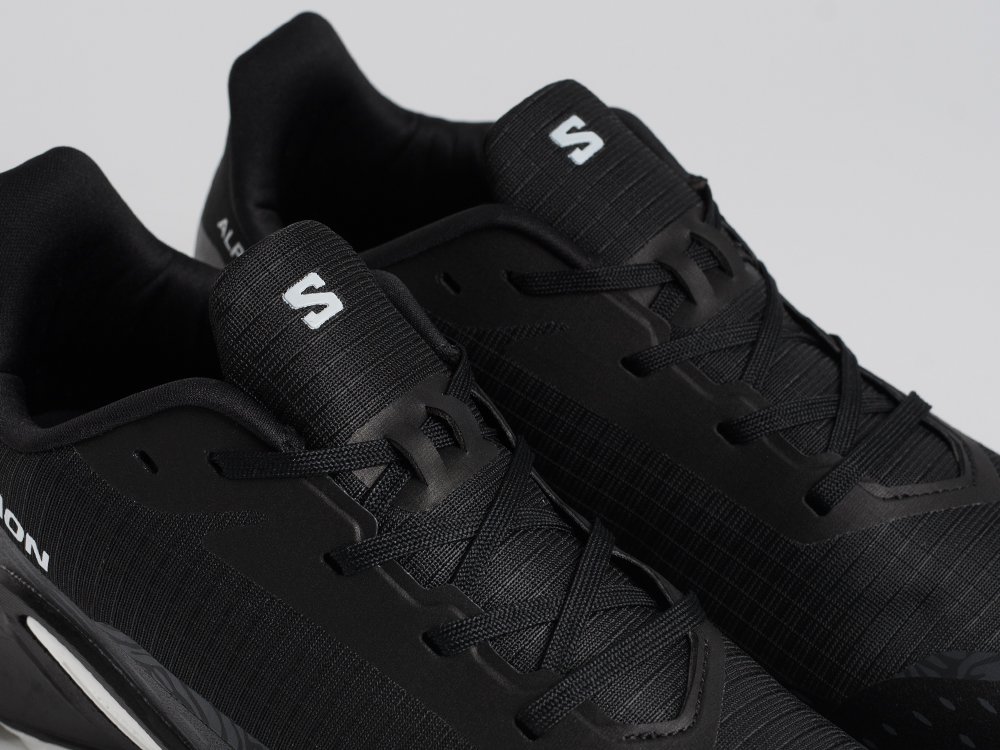 Кроссовки Salomon Alphacross 5 GTX