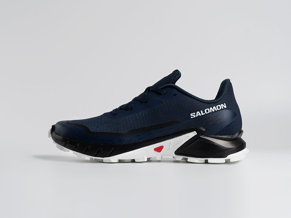 Кроссовки Salomon Alphacross 5 GTX