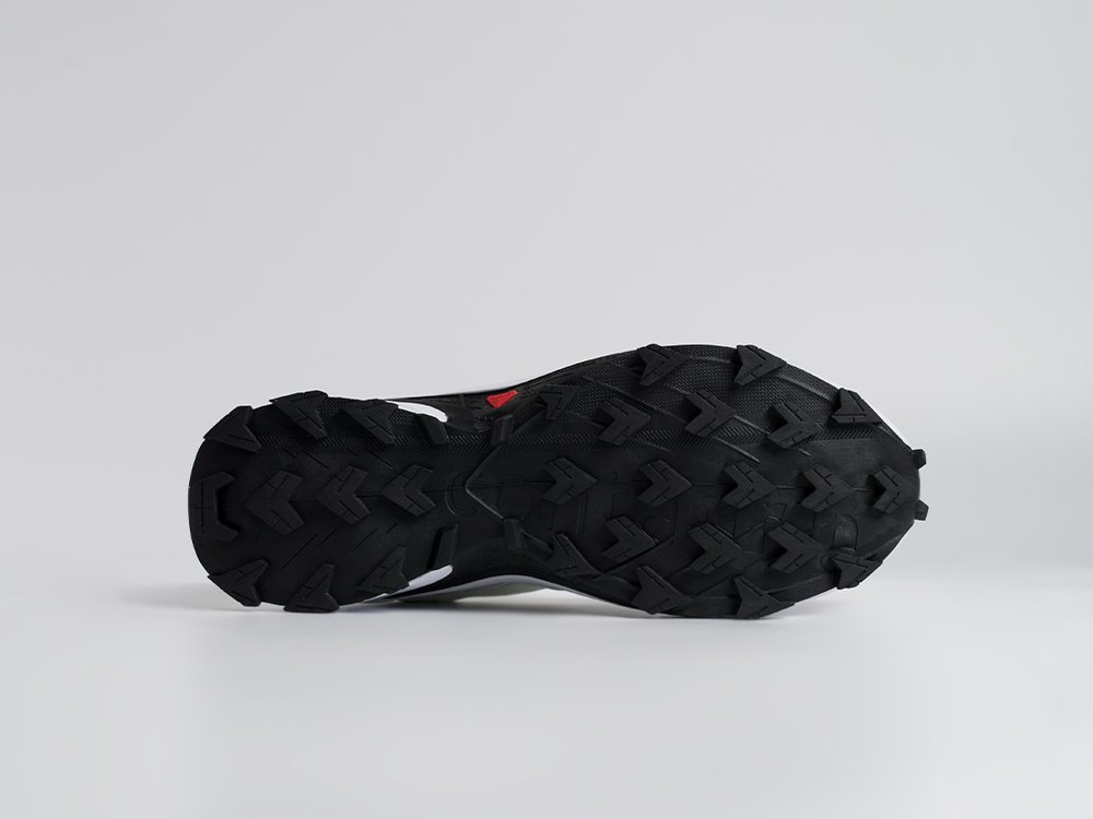 Кроссовки Salomon Alphacross 5 GTX