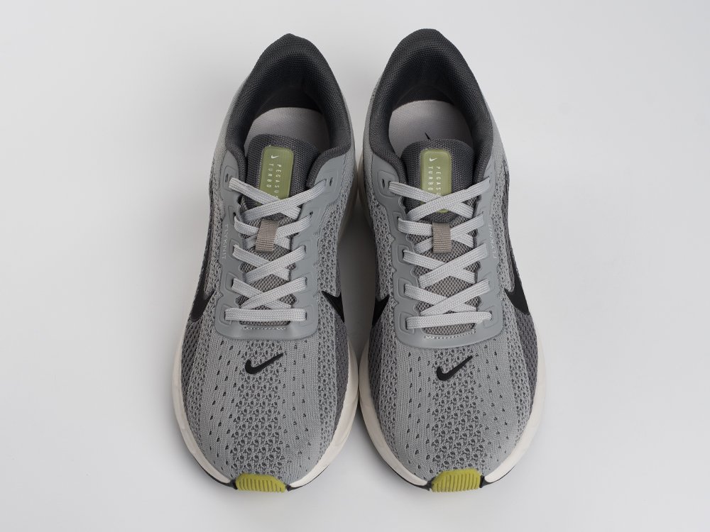 Кроссовки Nike Pegasus Plus