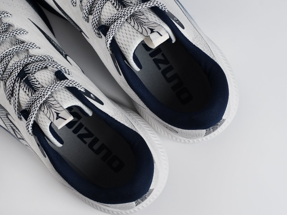 Кроссовки Mizuno ASTRO PLUS