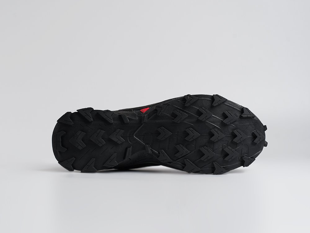 Кроссовки Salomon Alphacross 5 GTX