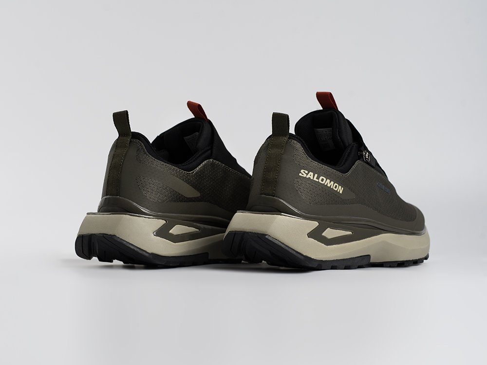 Кроссовки Salomon Odyssey ELMT Advanced