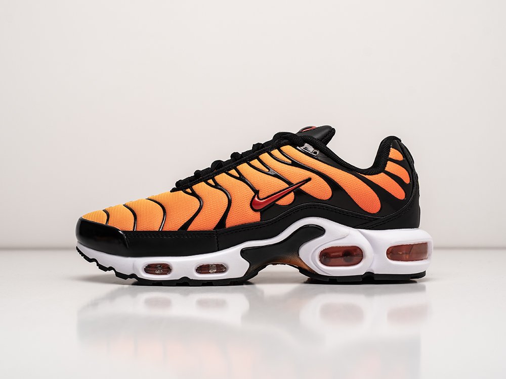 Кроссовки Nike Air Max Plus TN