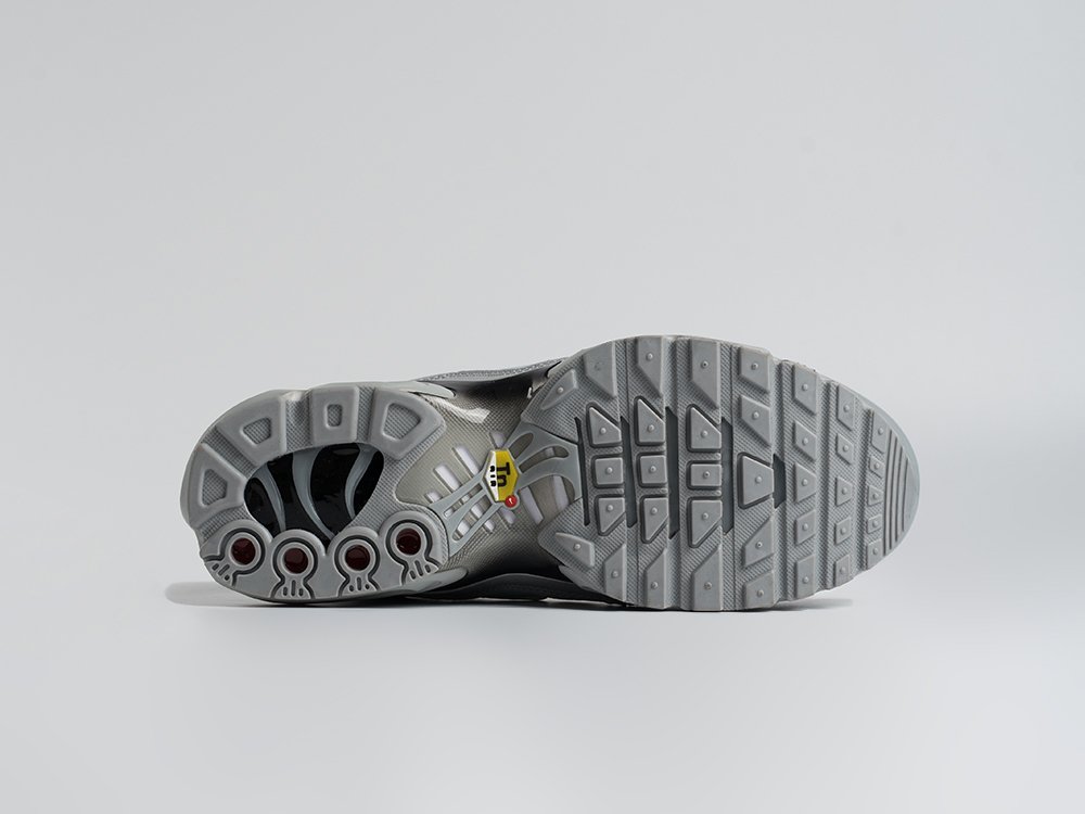Кроссовки Nike Air Max Plus TN