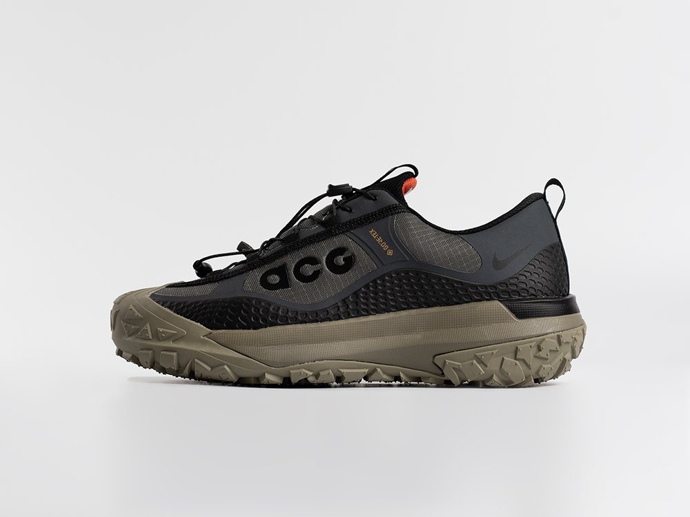 Кроссовки Nike ACG Mountain Fly Low