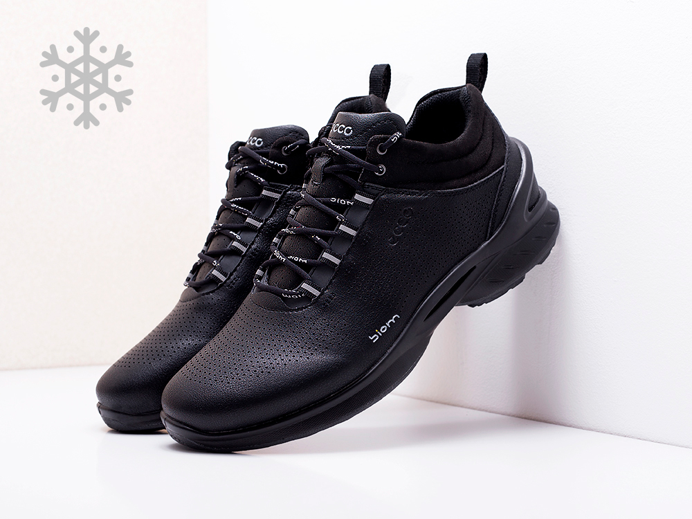 Зимние Ботинки Ecco