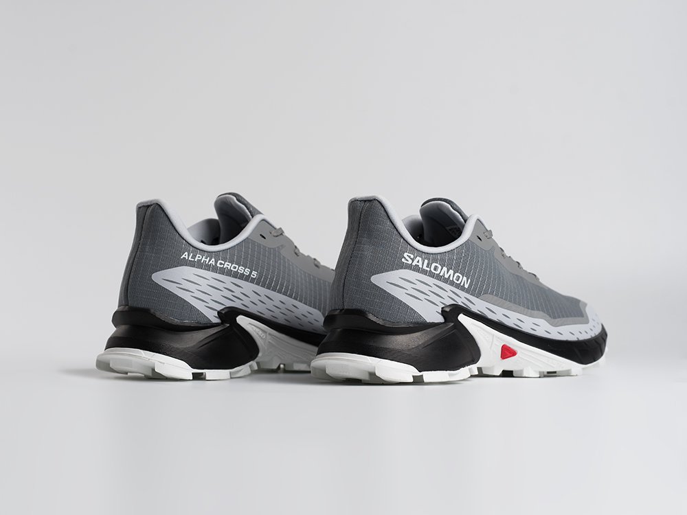 Кроссовки Salomon Alphacross 5 GTX