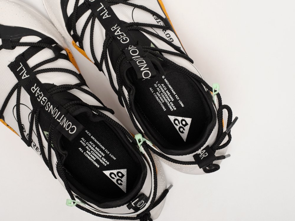 Кроссовки Nike ACG Air Terra Antarktik Low