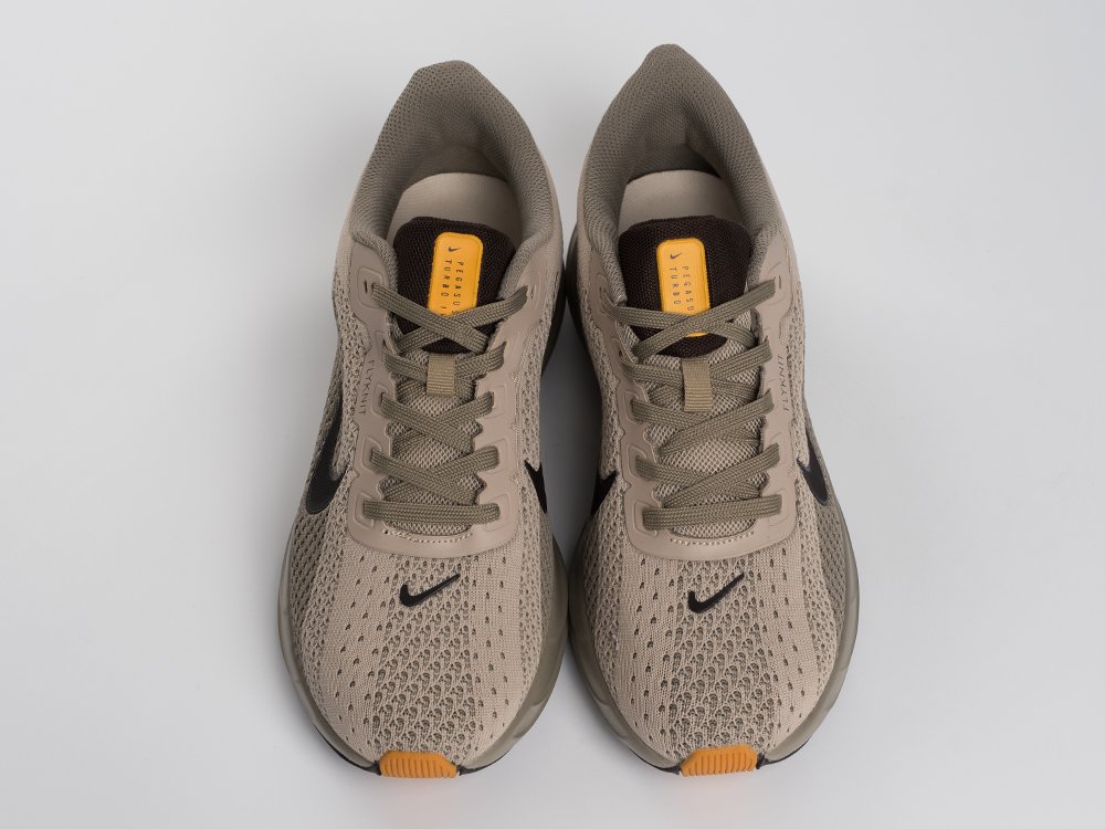 Кроссовки Nike Pegasus Plus