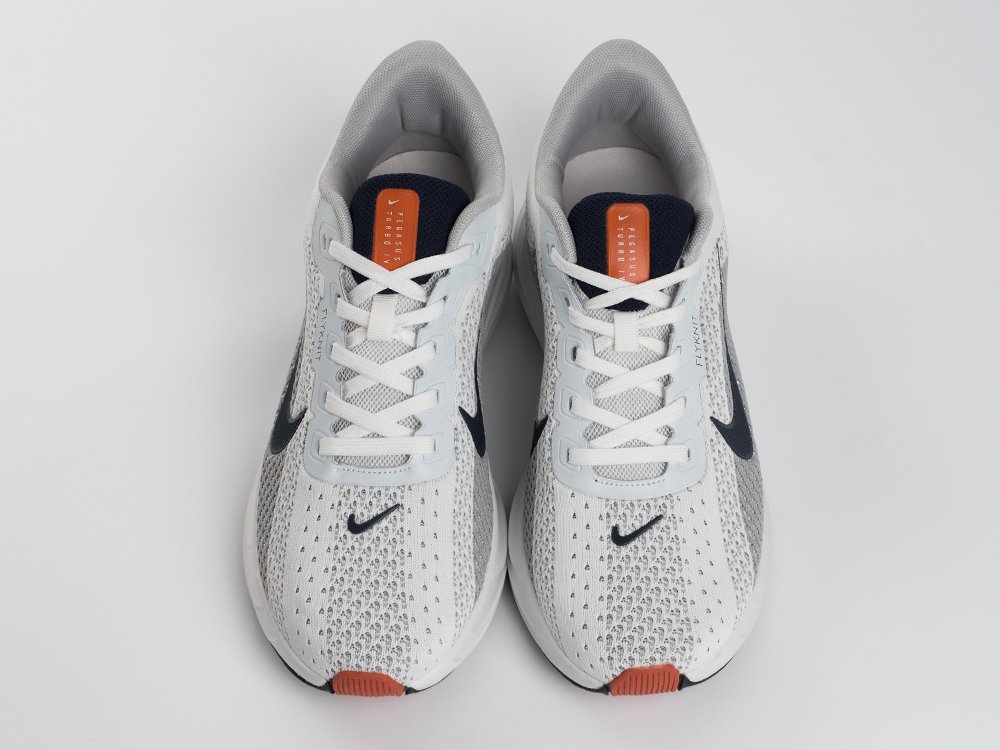 Кроссовки Nike Pegasus Plus