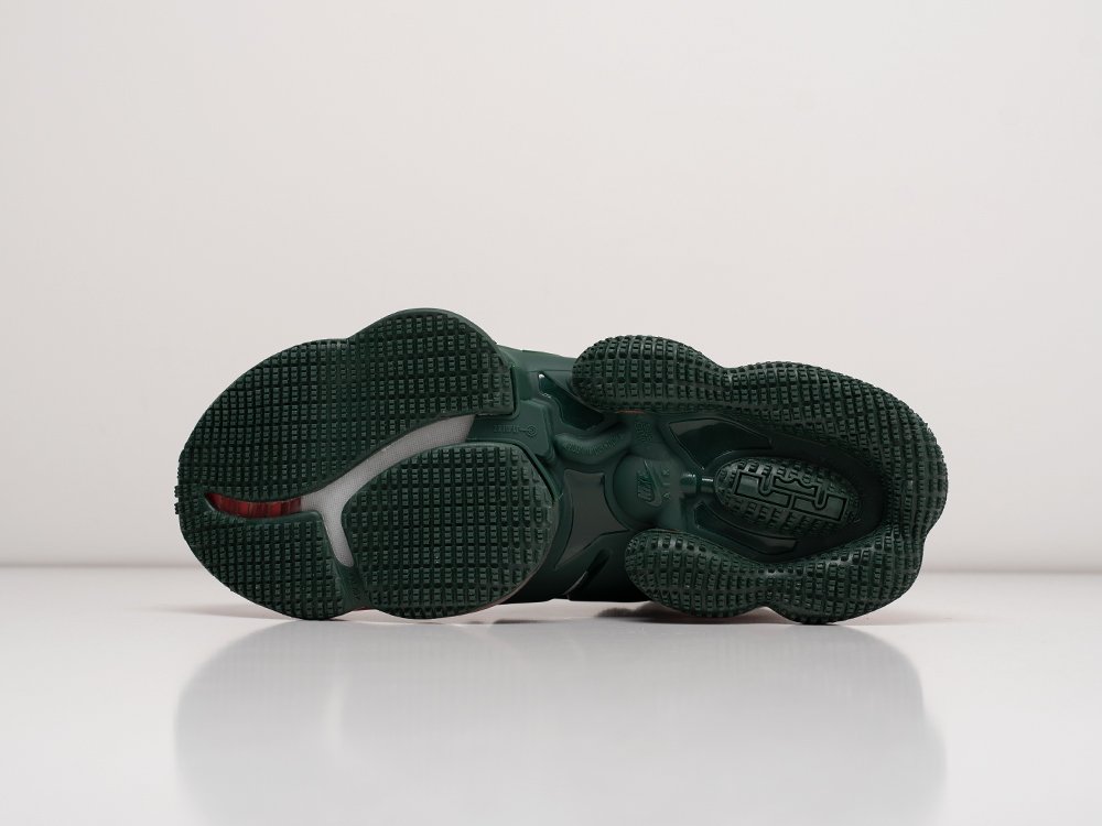 Кроссовки Nike Lebron XIX