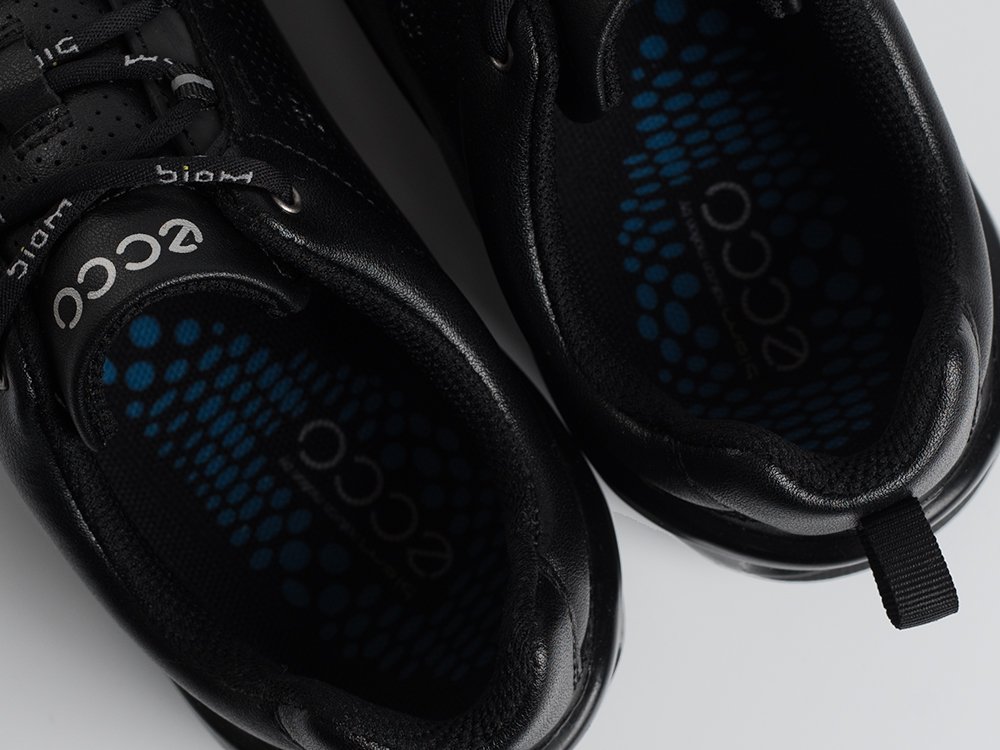 Кроссовки Ecco Biom