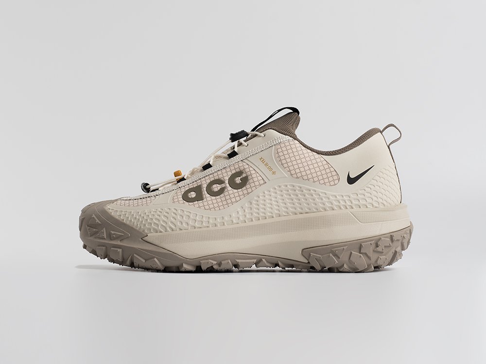 Кроссовки Nike ACG Mountain Fly Low