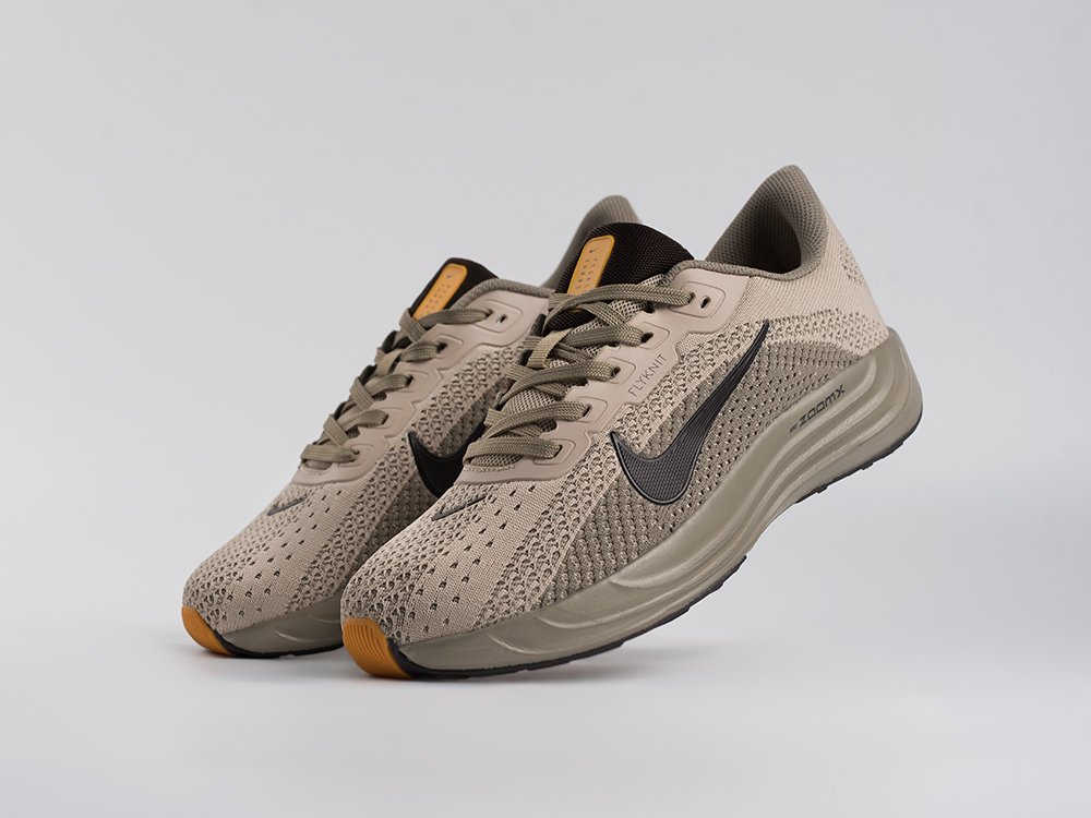 Кроссовки Nike Pegasus Plus