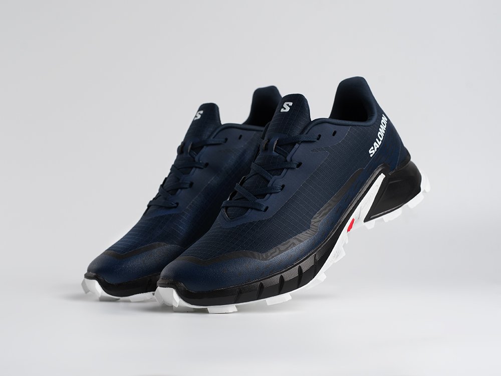 Кроссовки Salomon Alphacross 5 GTX