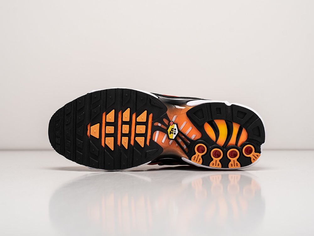 Кроссовки Nike Air Max Plus TN