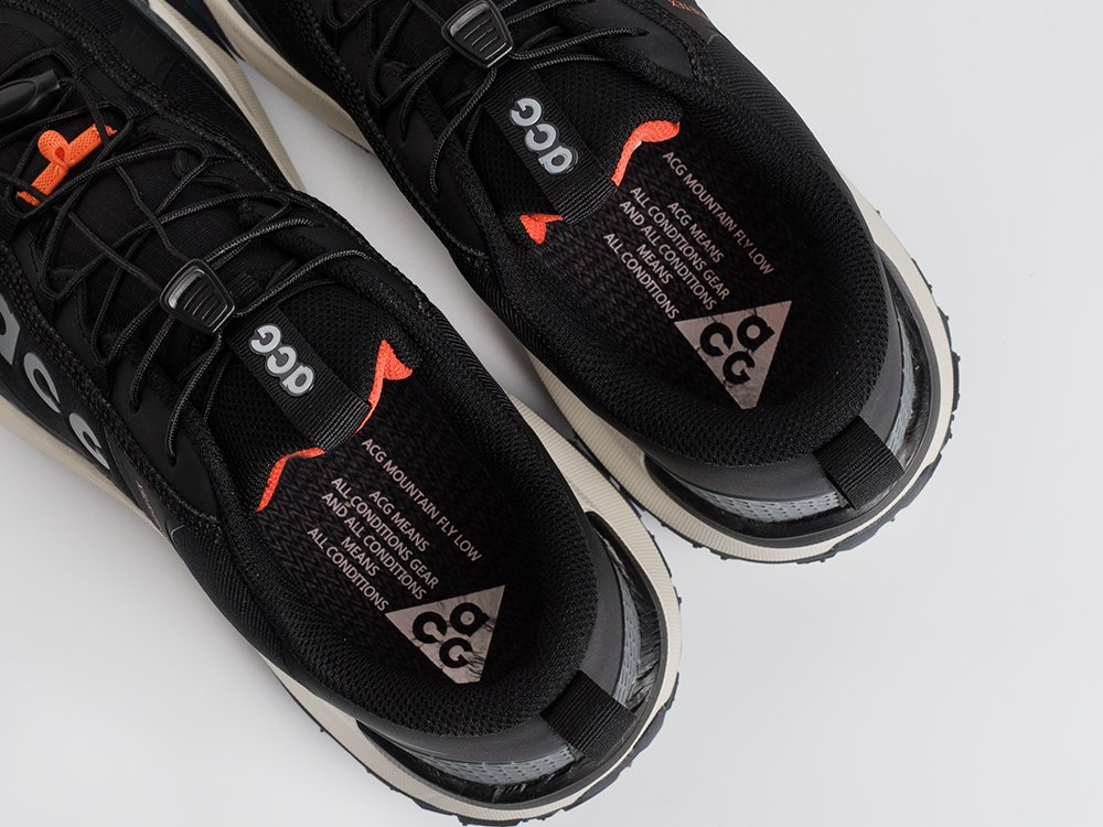 Кроссовки Nike ACG Mountain Fly Low