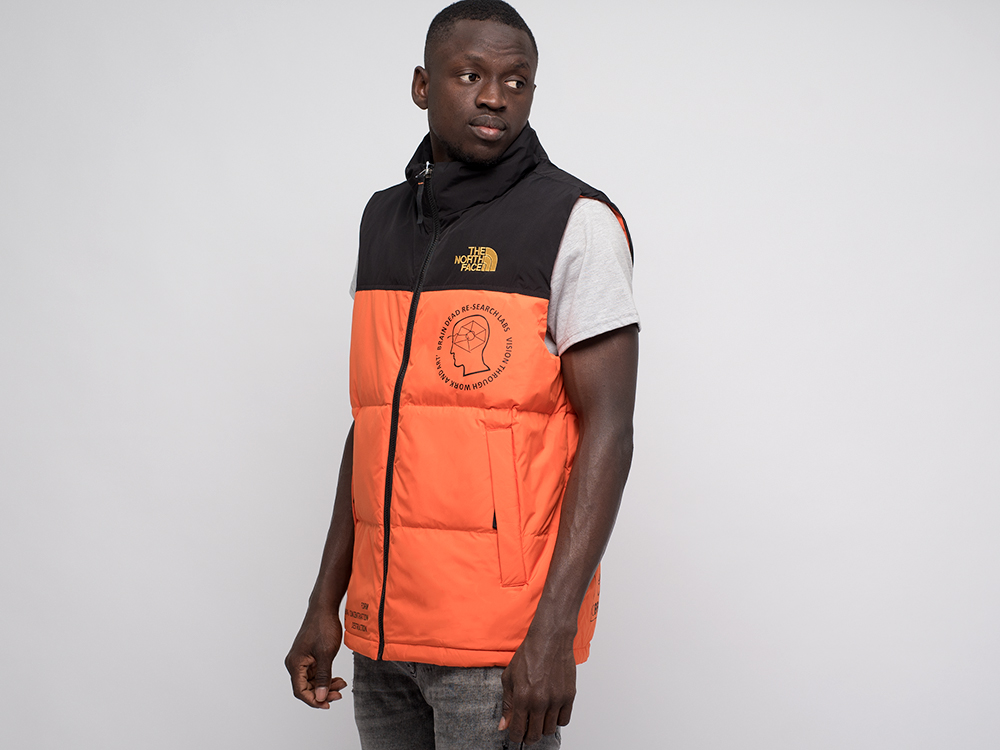 Жилет The North Face