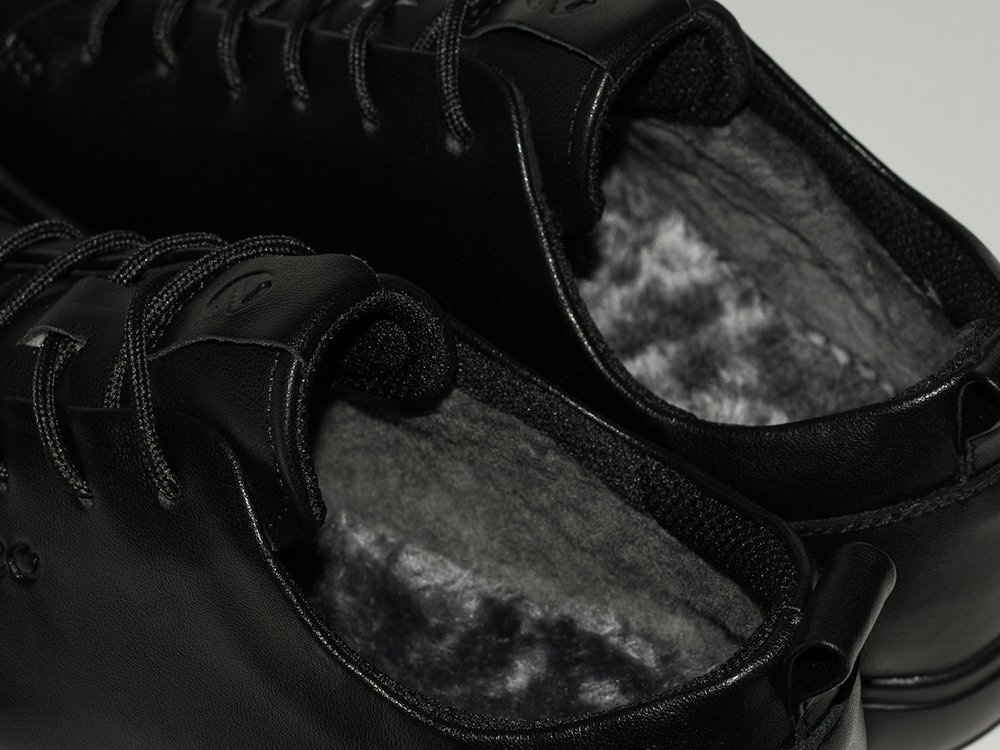 Зимние Кроссовки Ecco Biom