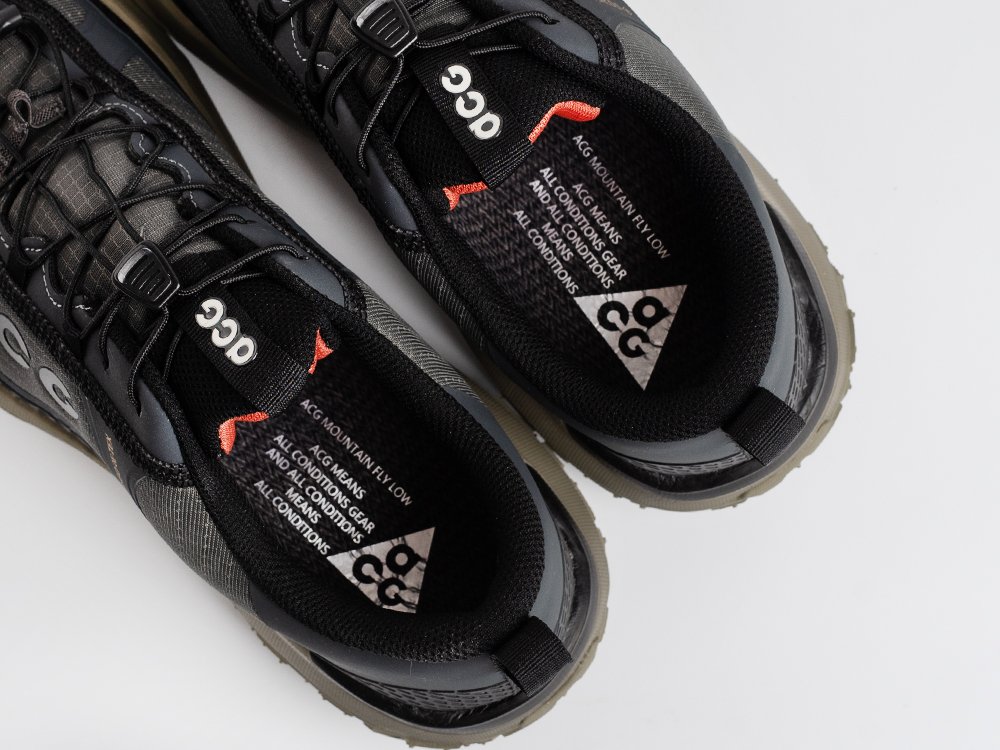 Кроссовки Nike ACG Mountain Fly Low