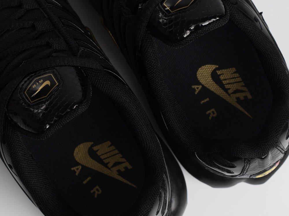 Кроссовки Nike Air Max Plus TN