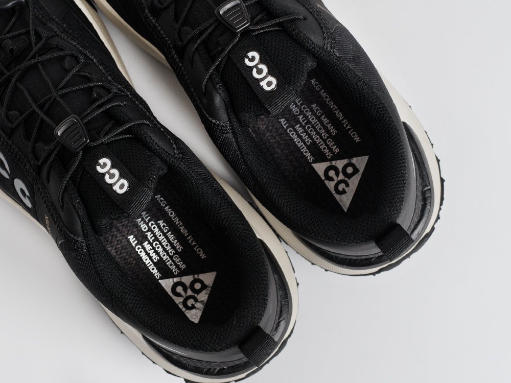 Кроссовки Nike ACG Mountain Fly Low