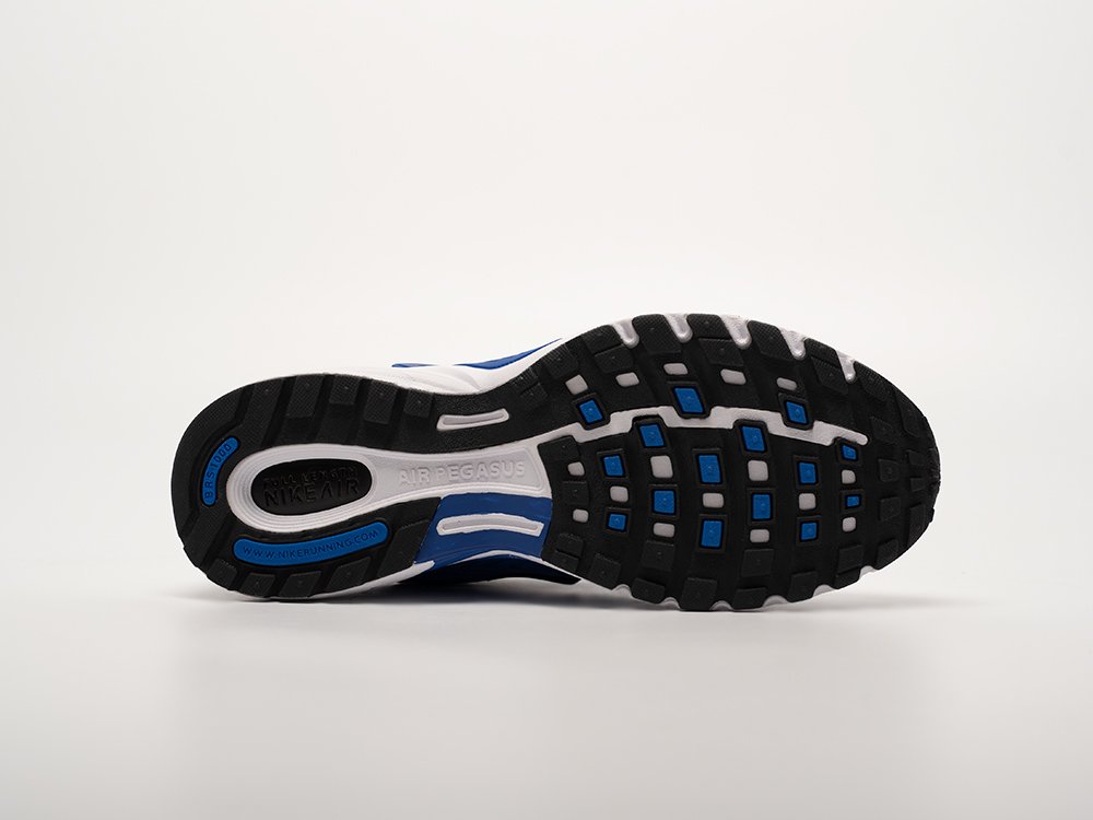 Кроссовки Nike Air Pegasus 2K5