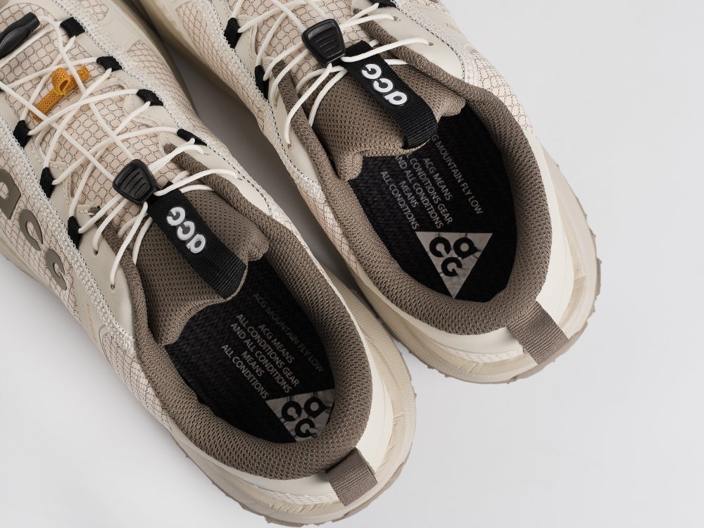Кроссовки Nike ACG Mountain Fly Low