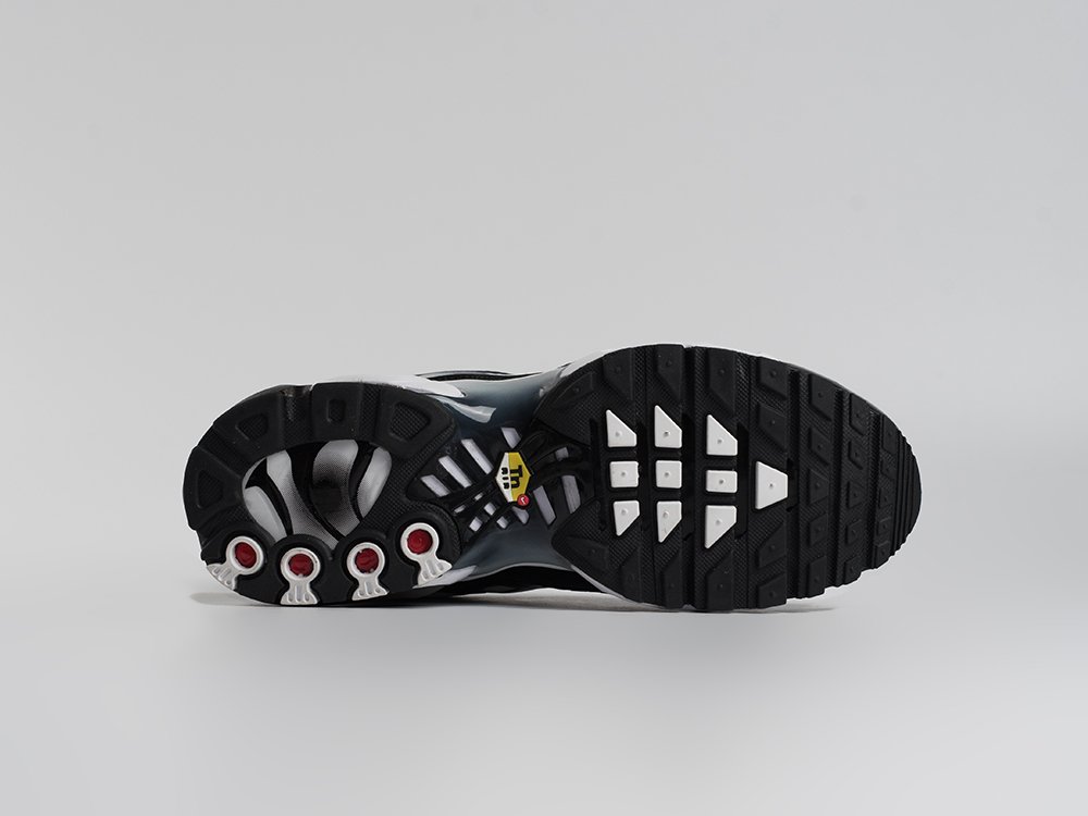 Кроссовки Nike Air Max Plus TN