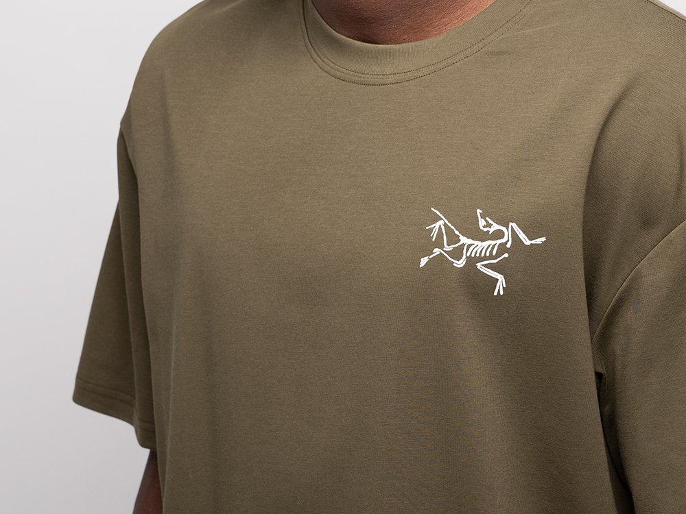 Футболка Arcteryx