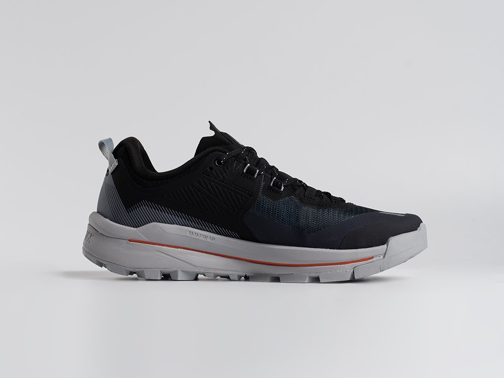 Кроссовки Adidas Terrex Skychaser Tech Low Gtx