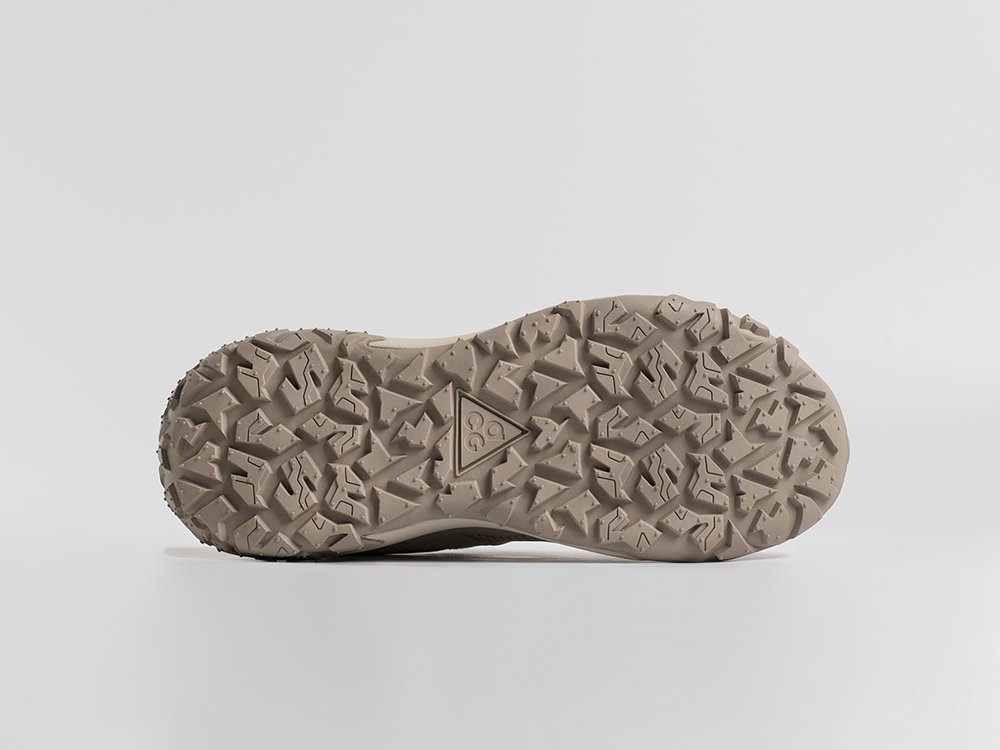 Кроссовки Nike ACG Mountain Fly Low