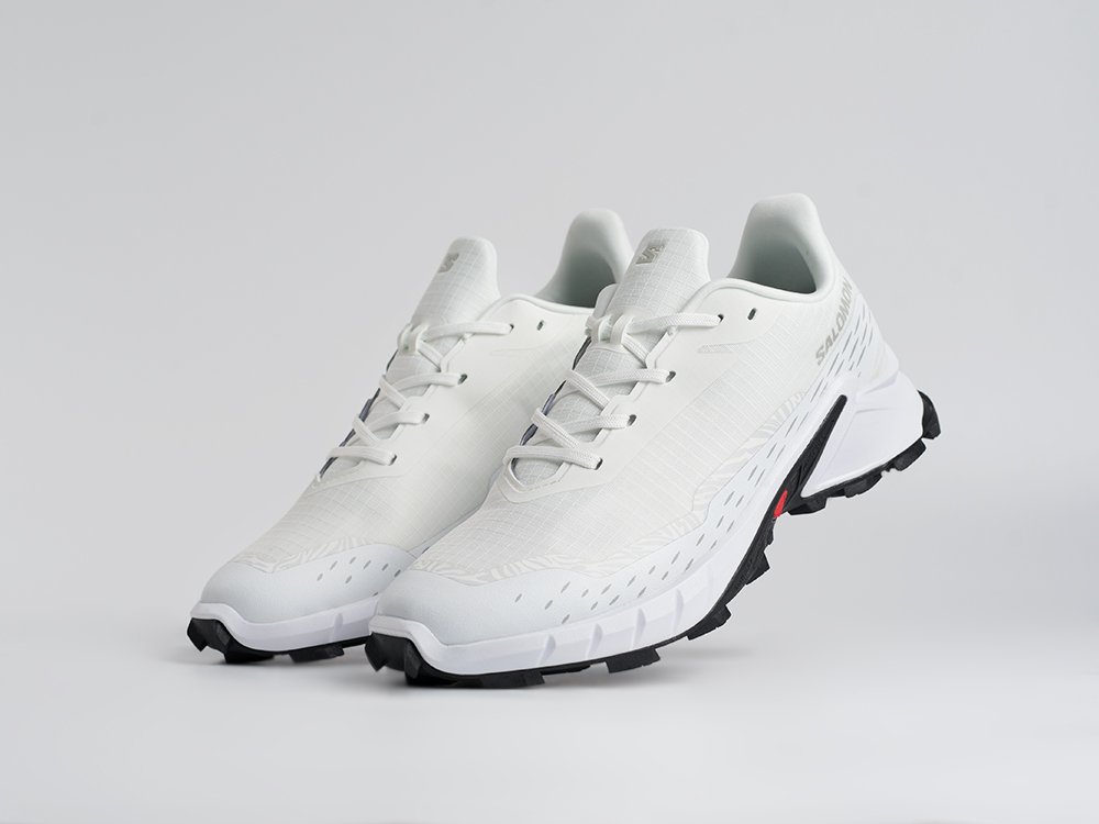 Кроссовки Salomon Alphacross 5 GTX