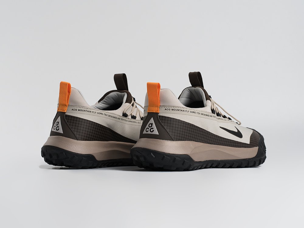 Кроссовки Nike ACG Mountain Fly Low