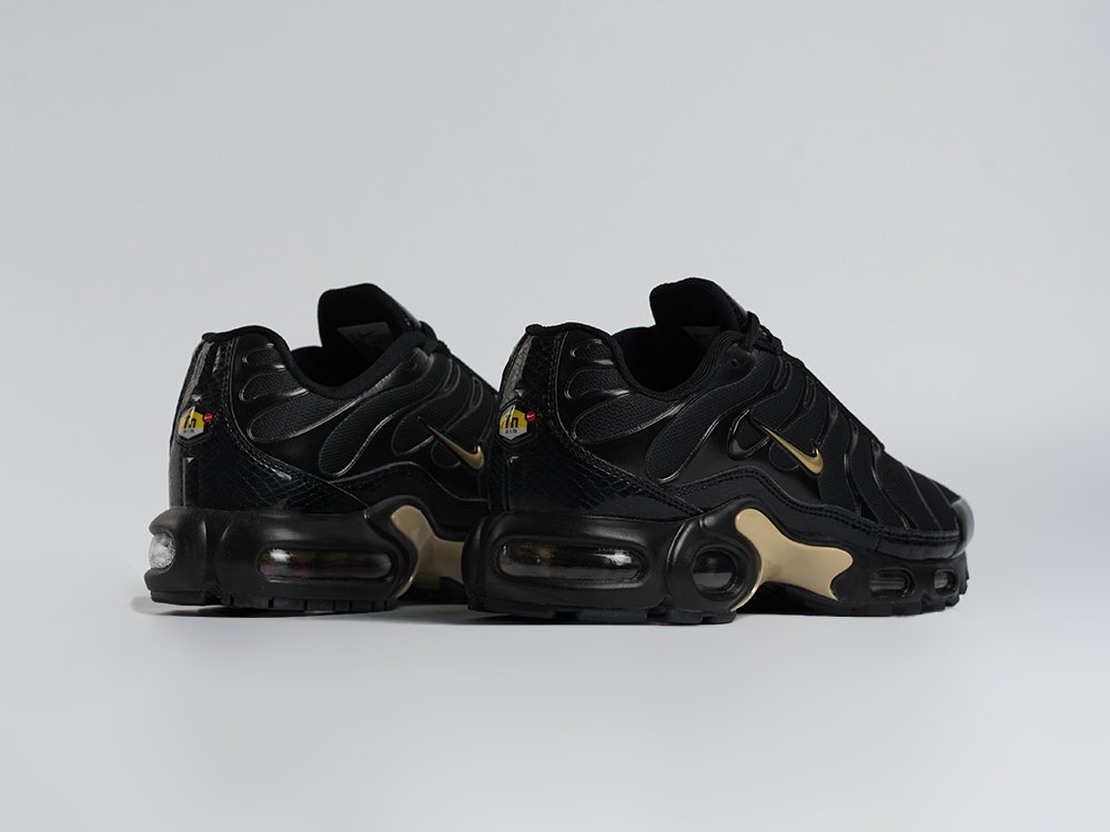 Кроссовки Nike Air Max Plus TN