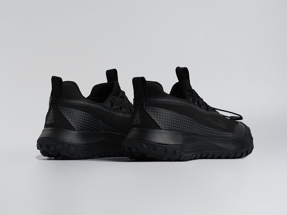 Кроссовки Nike ACG Mountain Fly Low