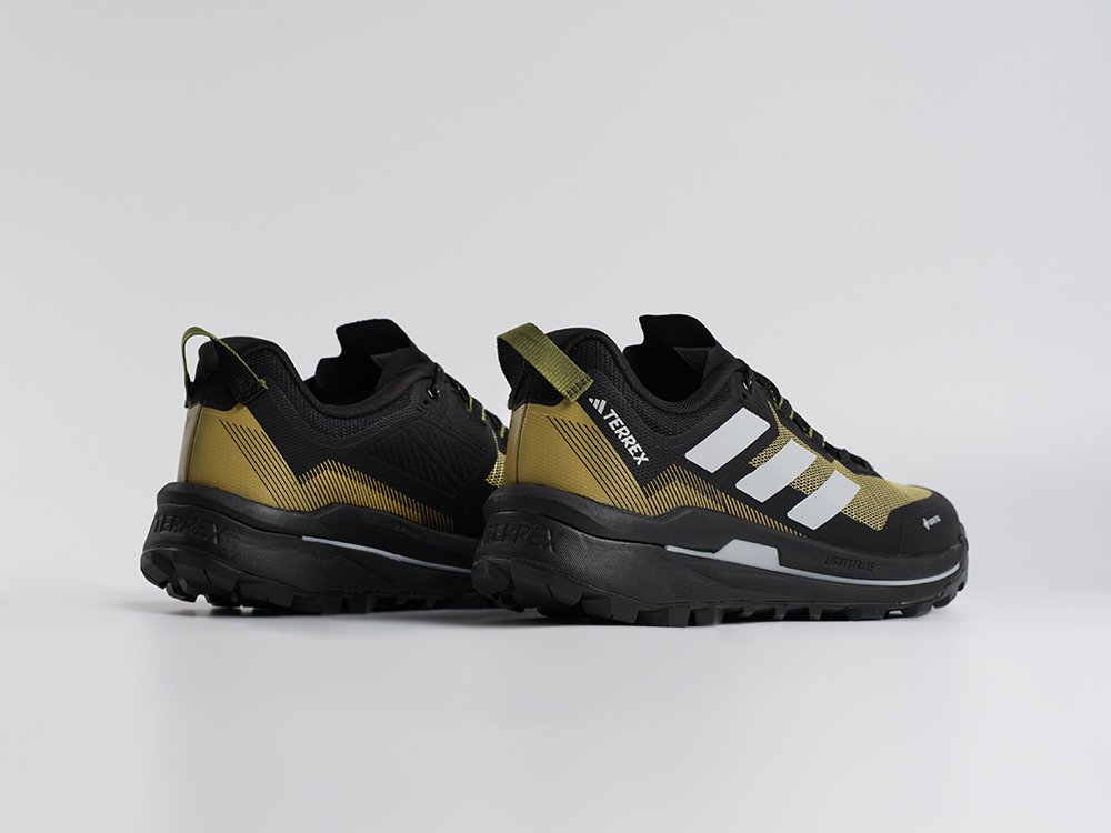 Кроссовки Adidas Terrex Skychaser Tech Low Gtx