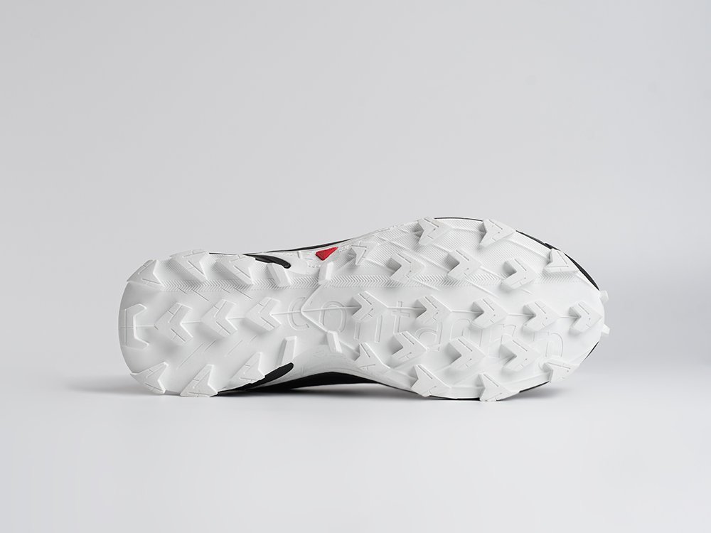 Кроссовки Salomon Alphacross 5 GTX