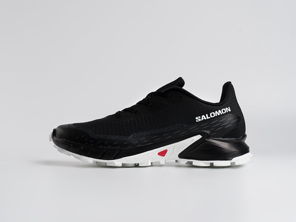 Кроссовки Salomon Alphacross 5 GTX