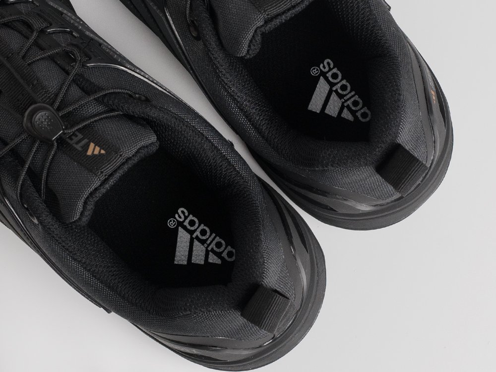 Кроссовки Adidas Terrex Skychaser