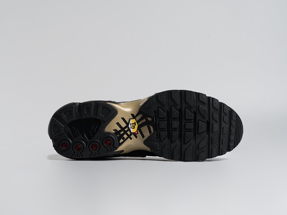 Кроссовки Nike Air Max Plus TN