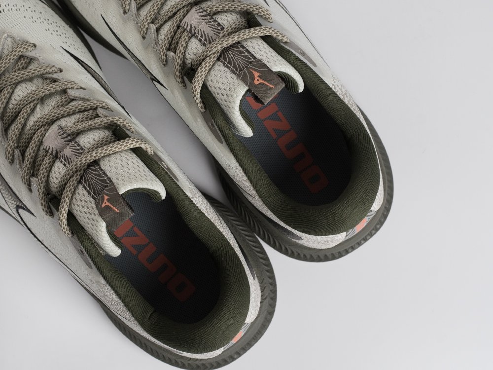 Кроссовки Mizuno ASTRO PLUS