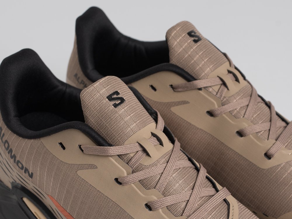 Кроссовки Salomon Alphacross 5 GTX