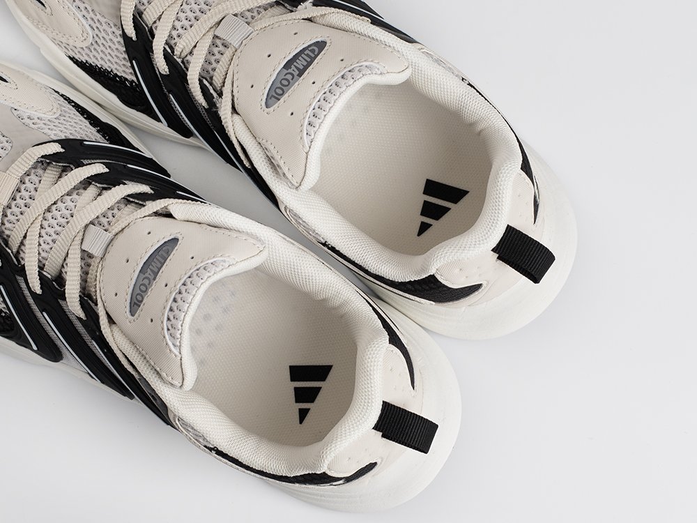 Кроссовки Adidas Climacool Ventania